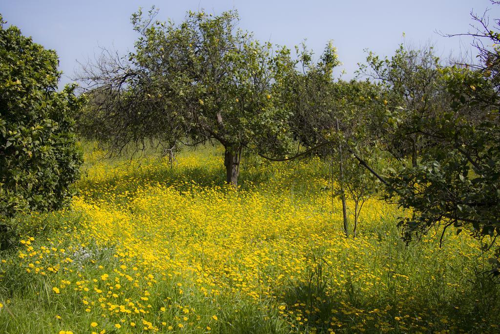 Il Melograno San Leonardello Exterior foto